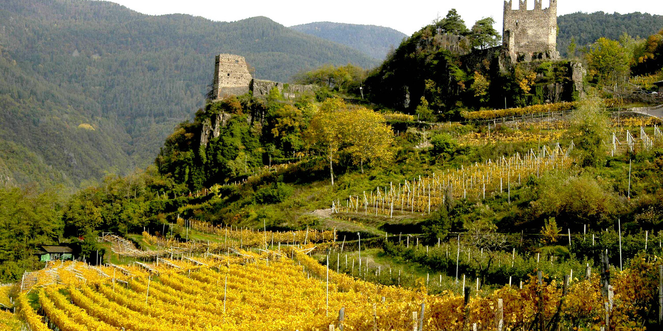 Castello di Segonzano  #3