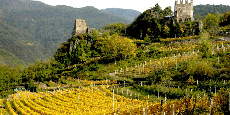 Castello di Segonzano  #3