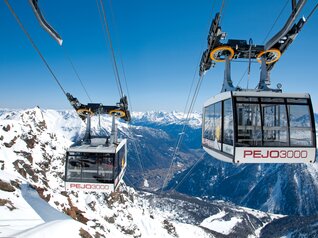 Ski area Pejo, ski holiday in Val di Sole