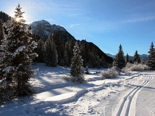Sci di fondo in Val di Fassa