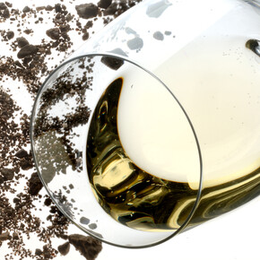 Bacca bianca trentina