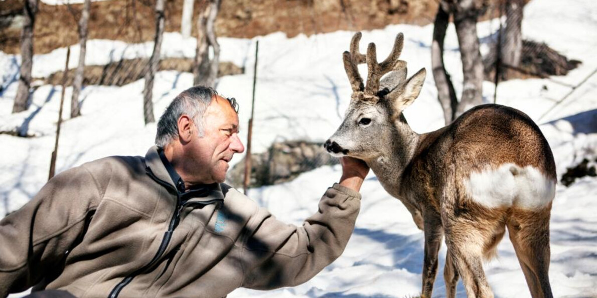 Con le ciaspole nei parchi naturali del Trentino