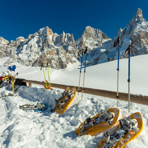 La magia dei parchi in inverno