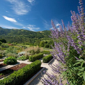 La natura con Trentino Guest Card