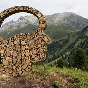 Фестивали на природе