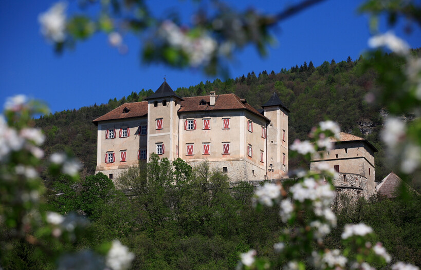 Entdecken Sie das Programm