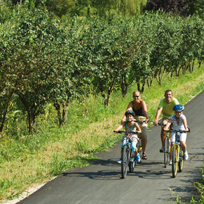 Vacanze in faglia con Bicicletta - Vacanze in bicicletta con bambini