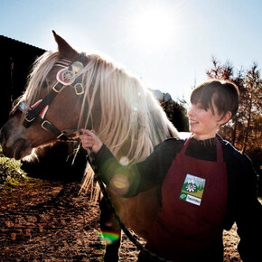 Agritur Dalai dei Pape