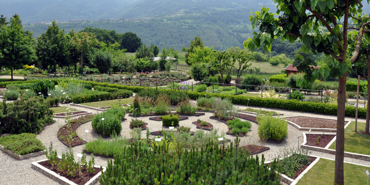 Foto Archivio Parco Naturale Locale Monte Baldo | © Foto Archivio Parco Naturale Locale Monte Baldo
