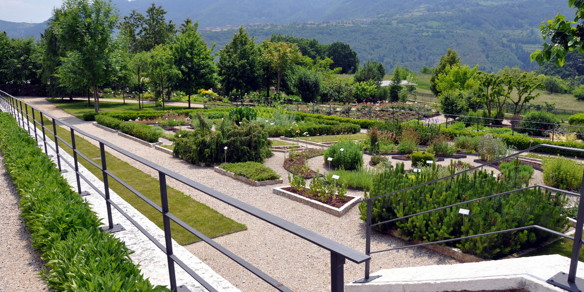 Foto Archivio Parco Naturale Locale Monte Baldo | © Foto Archivio Parco Naturale Locale Monte Baldo