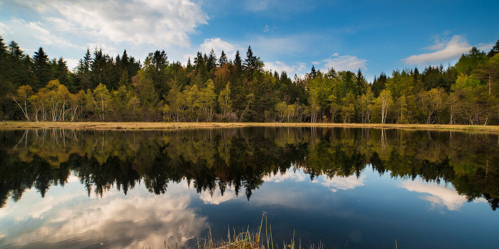 The ancient lakes trek | © Foto Archivio Rete di Riserve Cembra – Avisio