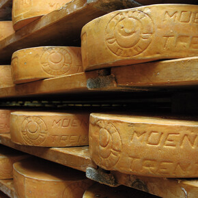 I sapori delle Dolomiti