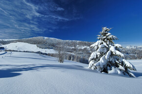 Riserva integrale Tre Cime del Monte Bondone 