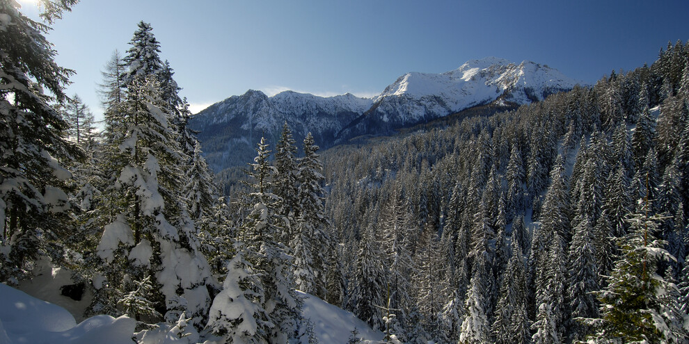 Ammirare il panorama dalla terrazza del Monte Bondone