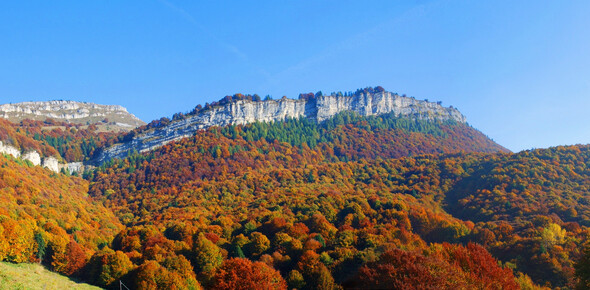 Parco_Monte_Baldo_Autunno_Nicola_Campostrini | © Parco_Monte_Baldo_Autunno_Nicola_Campostrini