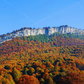 Parco_Monte_Baldo_Autunno_Nicola_Campostrini | © Parco_Monte_Baldo_Autunno_Nicola_Campostrini