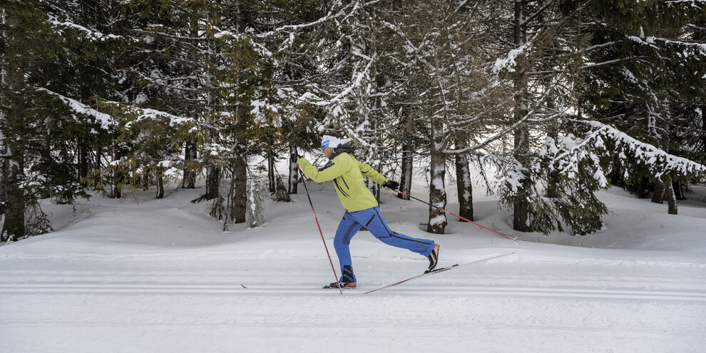 Pista Gervasi, Viote – Monte Bondone