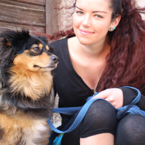 Registry: dogs, cats and ferrets