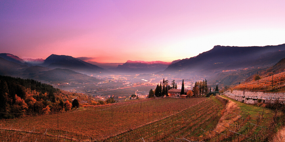 Panorama-Vallagarina-Vigneti-Carlo-Baroni | © Panorama-Vallagarina-Vigneti-Carlo-Baroni