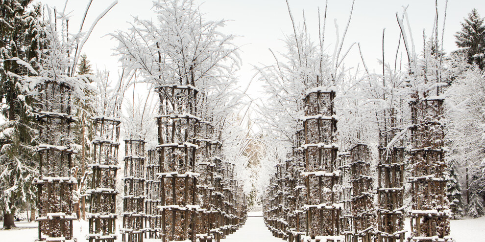 Giuliano Mauri, Cattedrale vegetale, Copyright Arte Sella, ph. Giacomo Bianchi_39 | © Giuliano Mauri, Cattedrale vegetale, Copyright Arte Sella, ph. Giacomo Bianchi_39