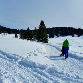 In passeggino sulla neve