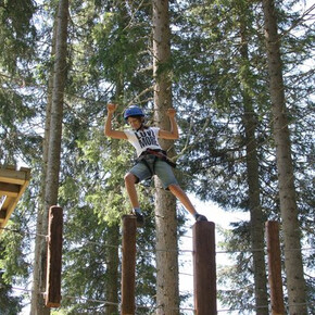 Abenteuerpark Agility Forest