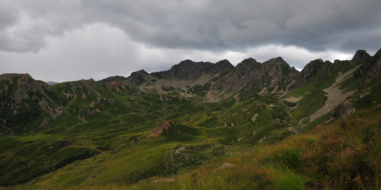 WWF-Oase Valtrigona  #1 | © Oasi Valtrigona - photo Associazione WWF Trentino