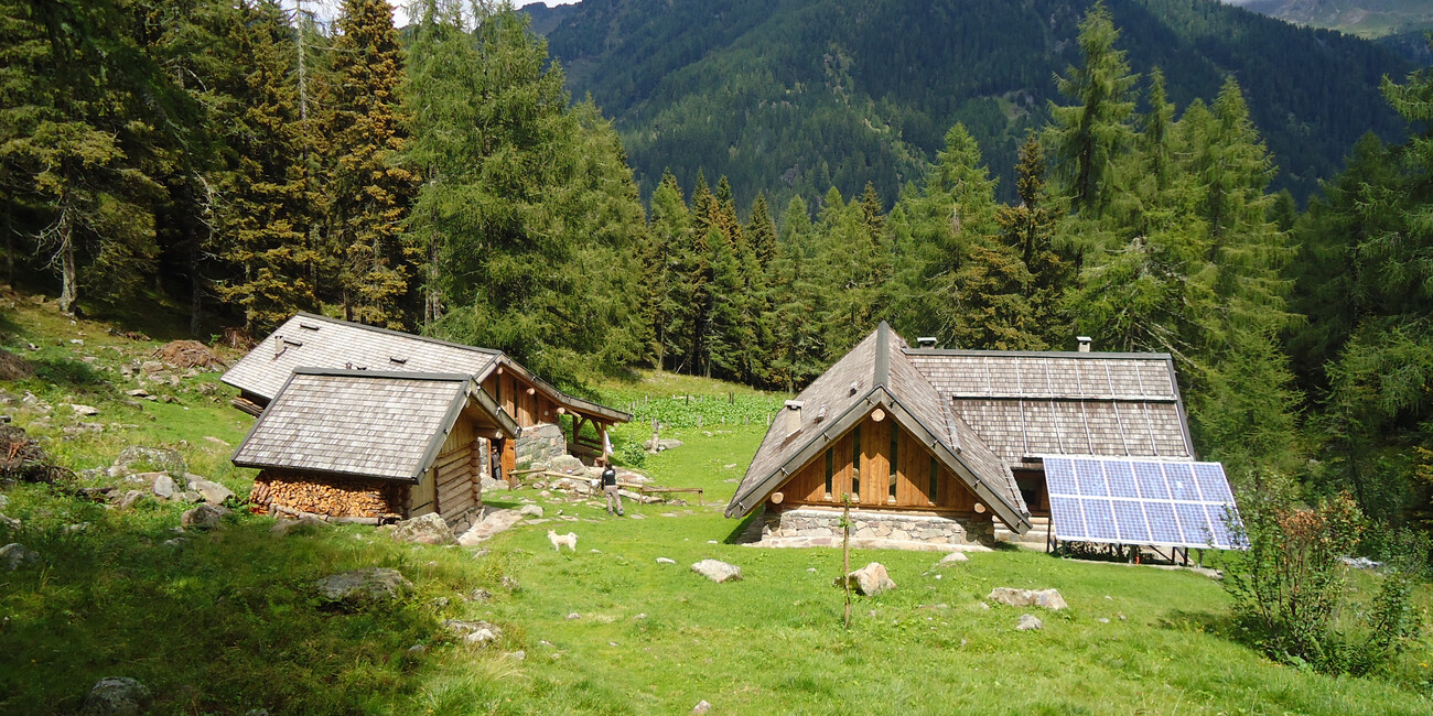 Oasi di Valtrigona #3 | © Oasi Valtrigona - photo Associazione WWF Trentino