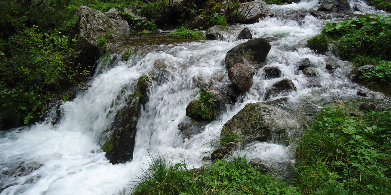 Oasi di Valtrigona #4 | © Oasi Valtrigona - photo Associazione WWF Trentino