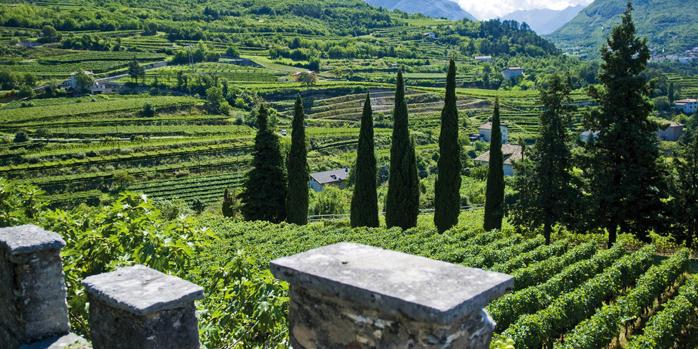 Talpina in passeggino, Altopiano di Brentonico