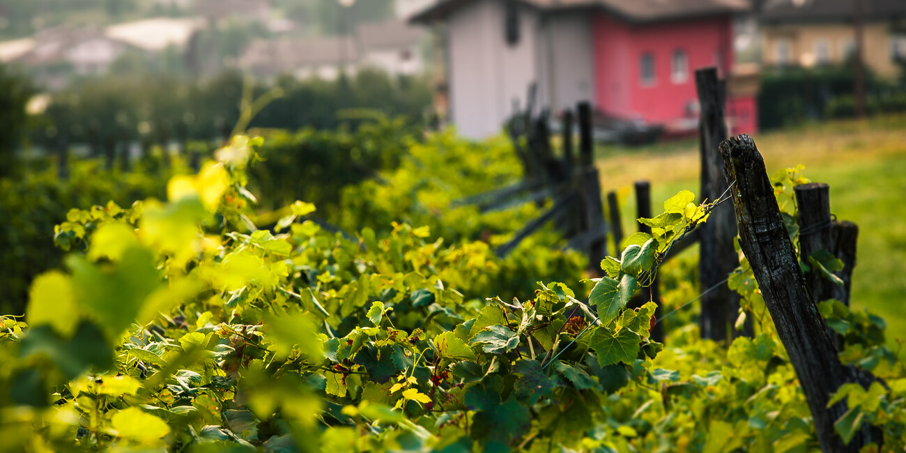 Scurelle  #2 | © Foto Archivio Apt