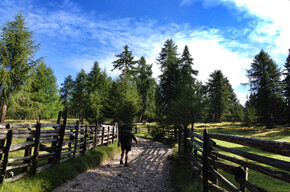 Castelfondo - Borgo d'Anaunia