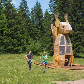 Chasing gnomes along magical trails