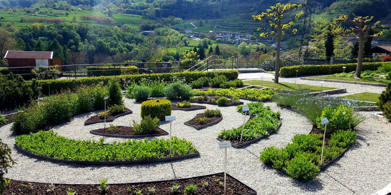 Botanischer Garten von Brentonico #1 | © Orto dei Semplici - Brentonico - Museo Civico di Rovereto