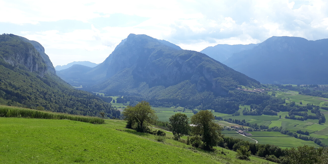 Lomasona #1 | © Foto Archivio Apt