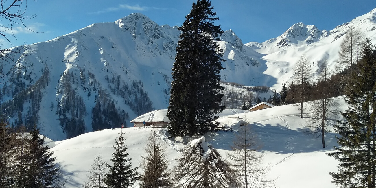 Rumo #2 | © APT Val di Non  - Panorama invernale