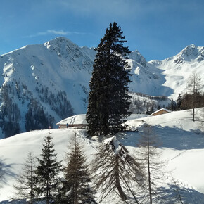 APT Val di Non  - Panorama invernale | © APT Val di Non  - Panorama invernale