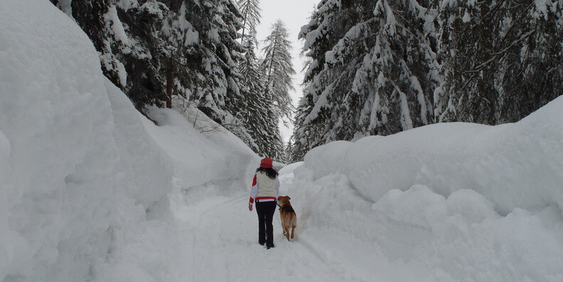 Rabbi   #2 | © APT Val di Sole - Rabbi in inverno - ph. D. Andreis