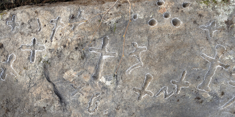 Terzolas   #2 | © APT Val di Sole - Sassi coppellati a Terzolas - ph. Ass. Val di Sole Antica