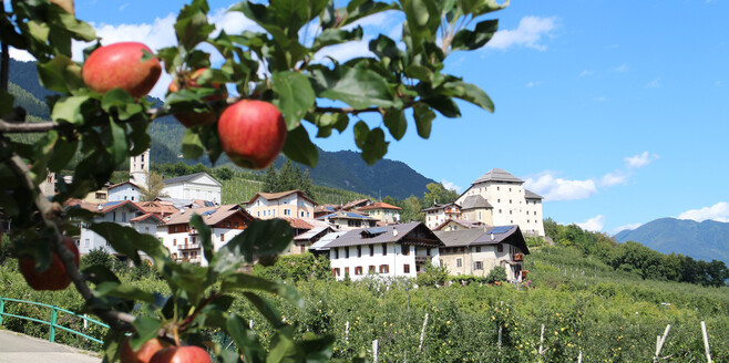 APT Val di Sole - Castel Caldes - ph. Dario Andreis | © APT Val di Sole - Castel Caldes - ph. Dario Andreis