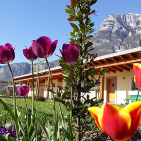 Agriturismo "L’isola di Arturo"