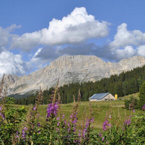 Passo Lavazè