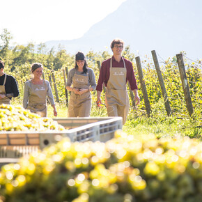 Autumn festivals and food fairs