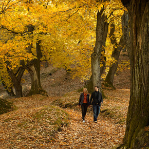 A romantic weekend for food lovers