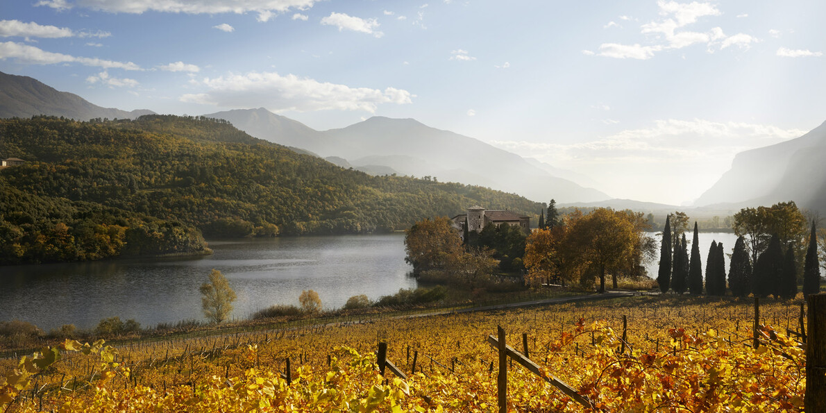 Autumn harvests and food & wine events