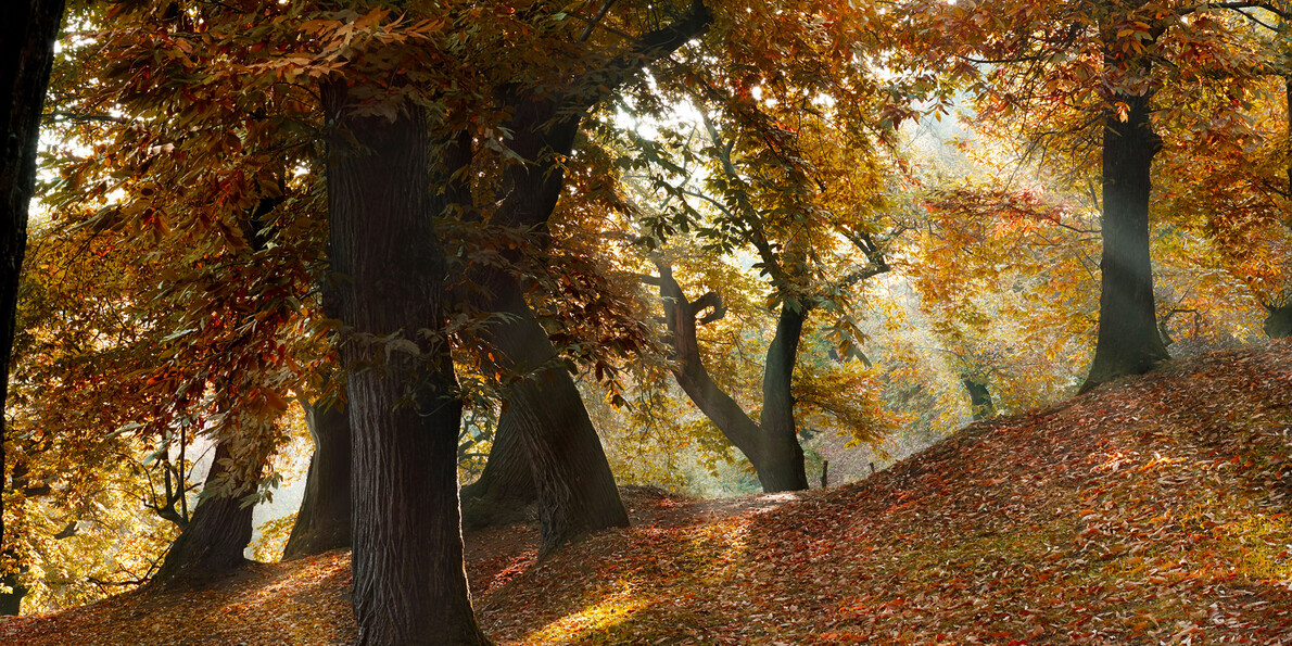 Some tips for an autumn weekend close to nature