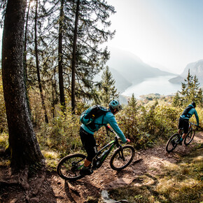 10 guidelines of SIEB