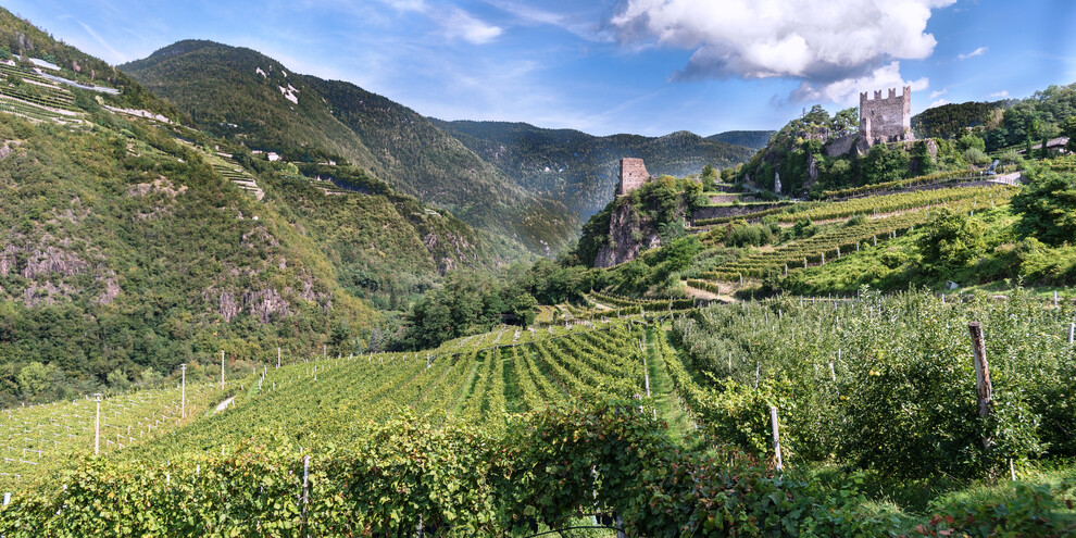 Castello di Segonzano - Apt-pine-cembra | © Castello di Segonzano - edu-auswahl-klawitter-2017-apt-pine-cembra