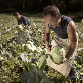 "A day in the life of"