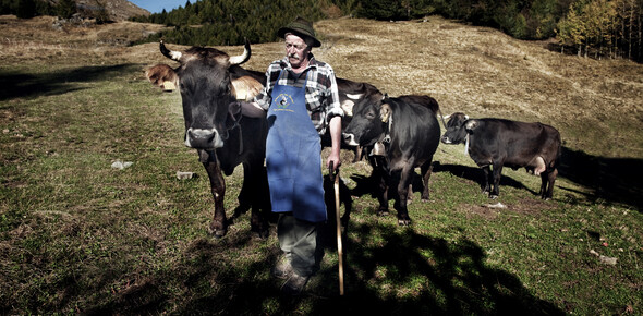 Strade del Vino e dei Sapori del Trentino